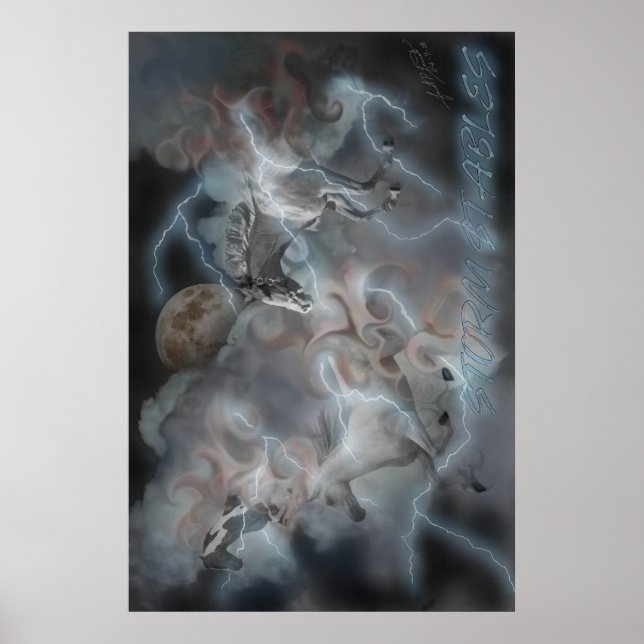 Affiche Storm Stables (Devant)