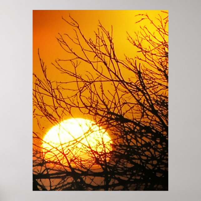 Affiche Sunset Delights (Devant)