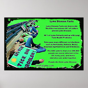 Affiche sur les faits de la maladie de Lyme
