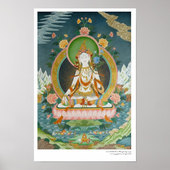 Affiche Tara Blanche (Devant)