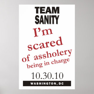 Affiche Team Sanity