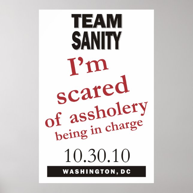 Affiche Team Sanity (Devant)
