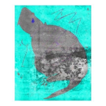 Affiche Tortue Teardrop 16 x 10