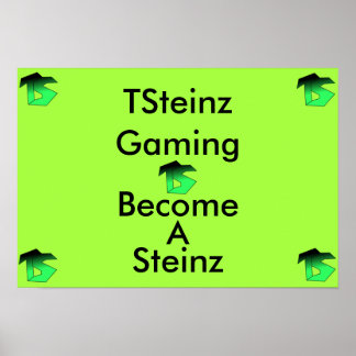 Affiche TSteinz