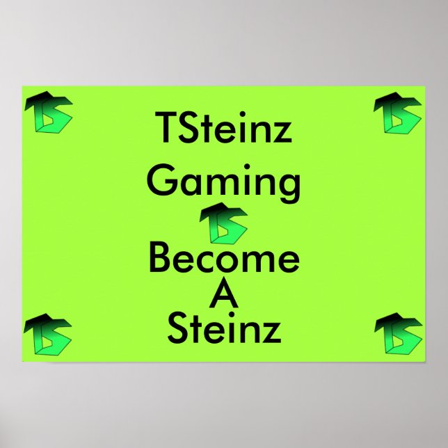 Affiche TSteinz (Devant)