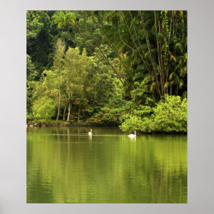 Affiche verte de lac