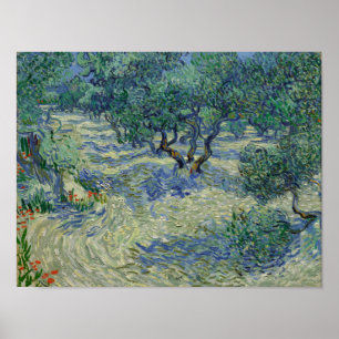 Affiche Vincent van Gogh - Verger d'oliviers