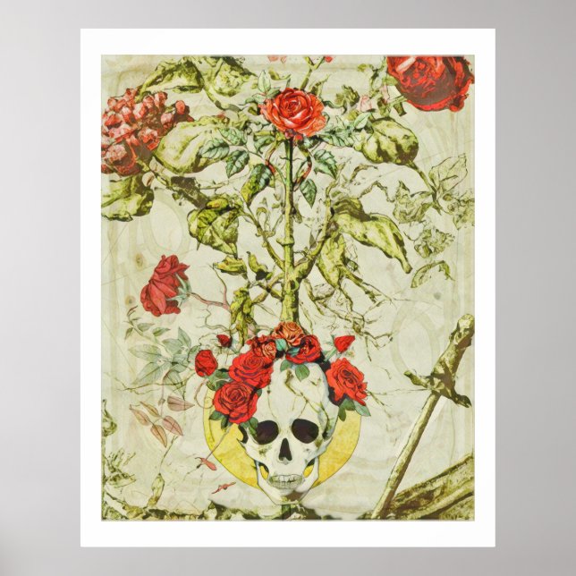 Affiche vintage Crâne et Rosier (Devant)