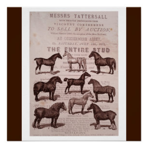Affiche vintage de cheval de sépia et de vente au
