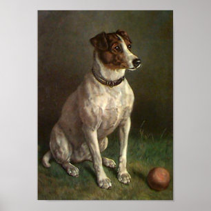 Affiche vintage d'image de chien