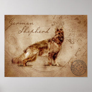 affiche vintage du berger allemand