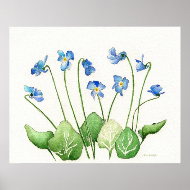Affiche Violettes bleues (Devant)