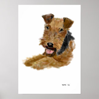 Affiche Welsh Terrier