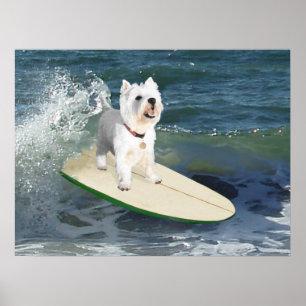 Affiche Westie Surfeur