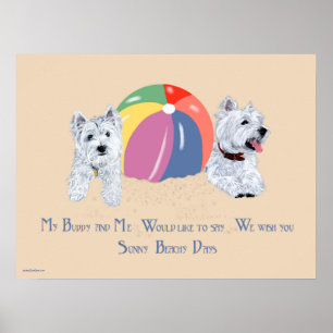 Affiche Westies avec un ballon de plage