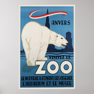 Affiche Zoo Anvers Ours Polaire Art Mural Vintage