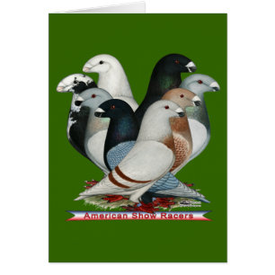 Afficher huit pilotes