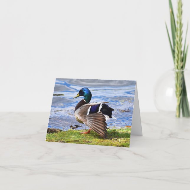 Afficher (Mallard n° 1) - Carte de note vide (Devant)