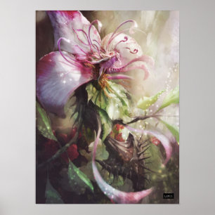 Affiches