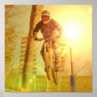 Affiches cyclistes