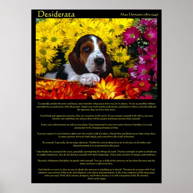 Affiches de Beagle de fleurs de Desiderata (Devant)