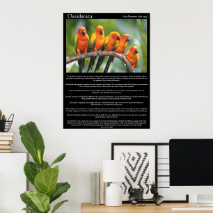 Affiches de Desiderata 16