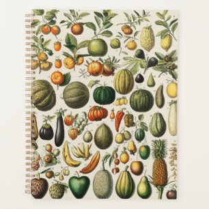 Affiches de fruits botaniques français vintage