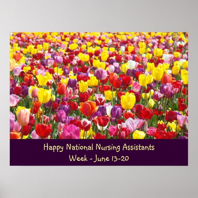 Affiches de la Semaine nationale des assistants en (Devant)