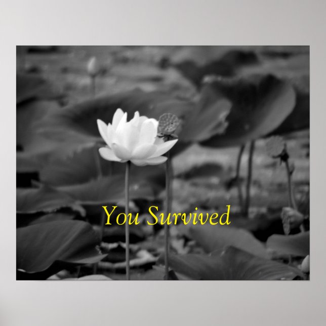 Affiches de plaidoyer contre la violence familiale (Devant)