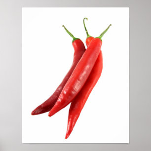Affiches de poivrons de piment rouge