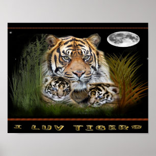 affiches de tigres et de petits