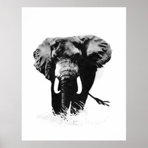 Affiches d'éléphant B&W Imprimantes