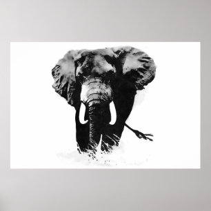 Affiches d'éléphants panoramiques en noir et blanc