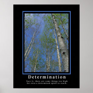 Affiches démotivationnelles ... Détermination