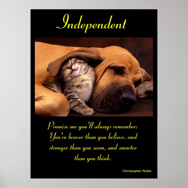 Affiches indépendantes Animal 10 (Devant)