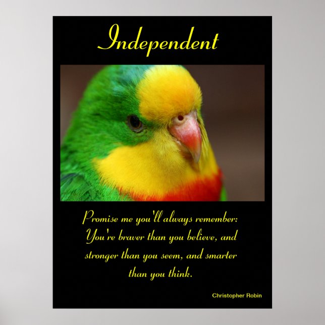 Affiches indépendantes Animal 21 (Devant)