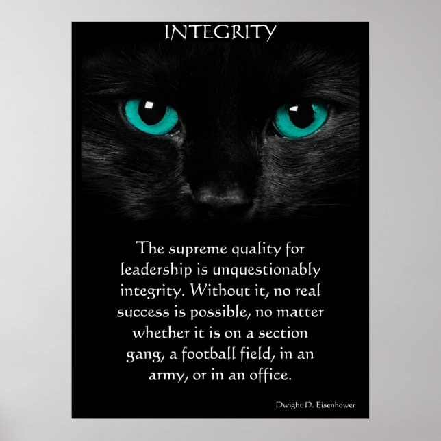 Affiches INTEGRITY (Devant)