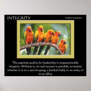 Affiches INTEGRITY
