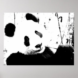 Affiches Panda - Visage de Panda Noir & Blanc