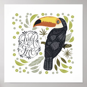 Affiches Toucan