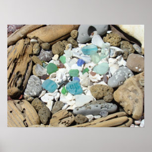 Affiches Verre de Mer Plage Coquillages Fossiles P