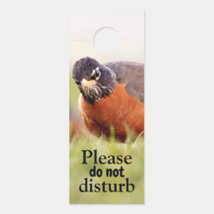 Affichette De Porte Grumpy Bird Ne Dérangez Pas L'Affichette de porte