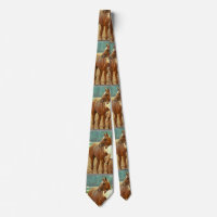 Affirmed Thoroughbred Racehorse 1978