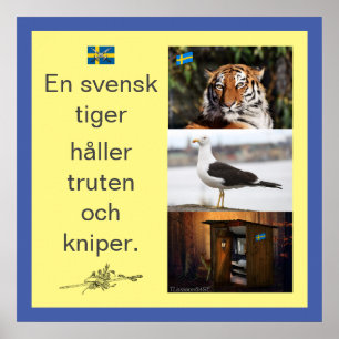 Affisch — A Swedish tiger Poster