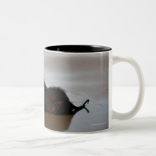 Afghan dog in the beach of Deba, Guipuzcoa, Two-Tone Coffee Mug