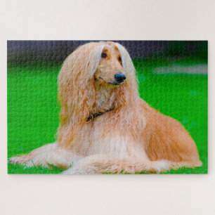 Afghan Greyhound Dog. Jigsaw Puzzle