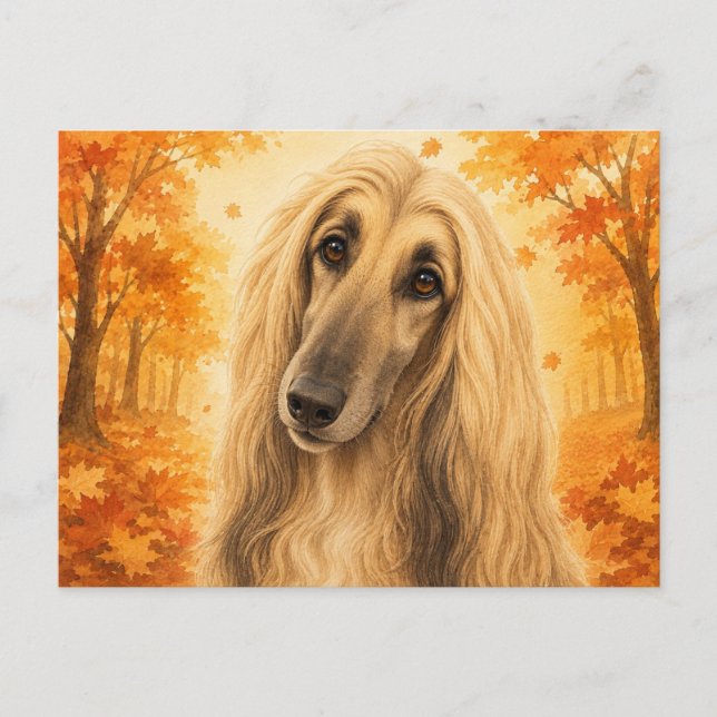 Afghan Hound Autumn Forest Dog Postcard (Front)