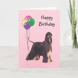 Afghan Hound, Birthday Balloons Card