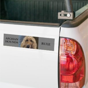 Afghan Hound             Bumper Sticker