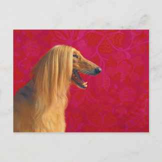 Afghan Hound Cards and GIfts